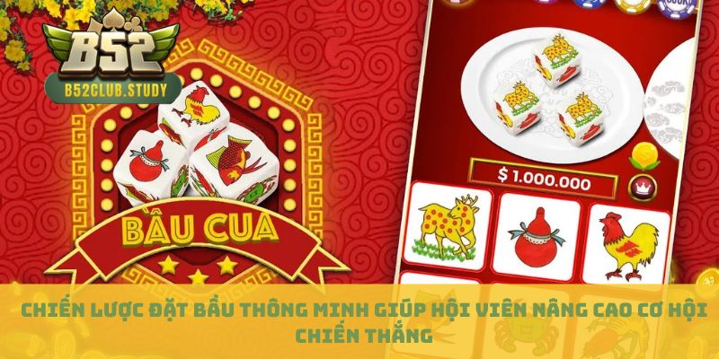 Chiến lược đặt bầu thông minh giúp hội viên nâng cao cơ hội chiến thắng