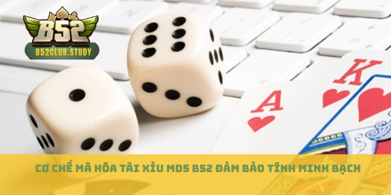 Cơ chế mã hóa tài xỉu md5 B52 đảm bảo tính minh bạch