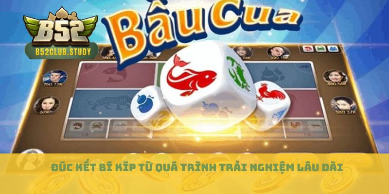Đúc kết bí kíp từ quá trình trải nghiệm lâu dài