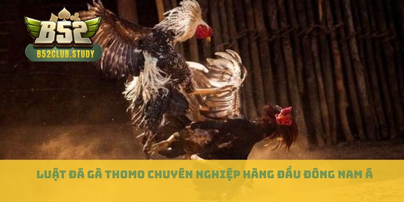 Luật đá gà Thomo chuyên nghiệp hàng đầu Đông Nam Á